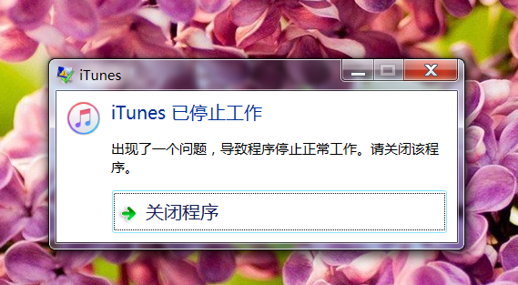 itunes上下载不了应用(itunes下载不了软件怎么办)下载